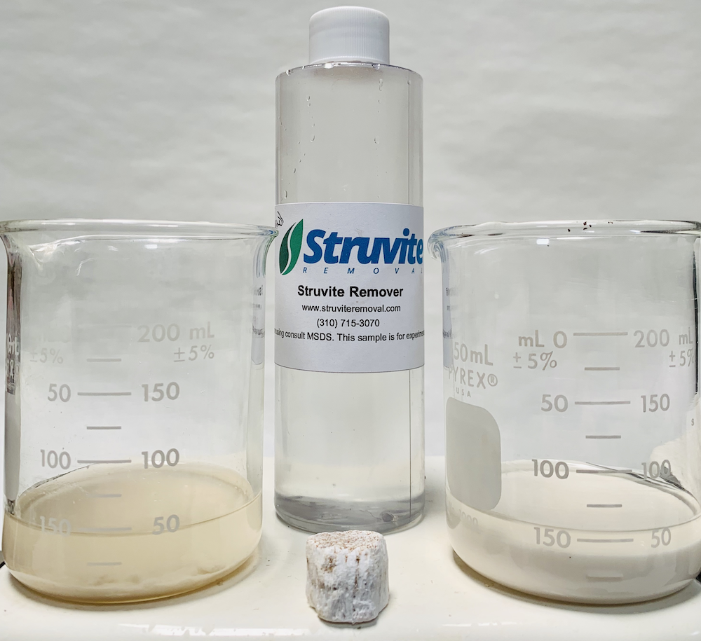 STSR Sample Testing